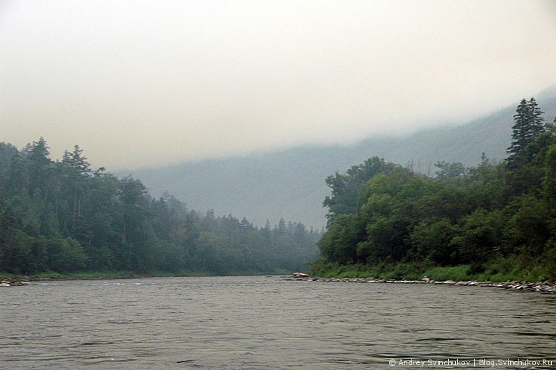 Рыбалка на Анюе и природа у горной реки