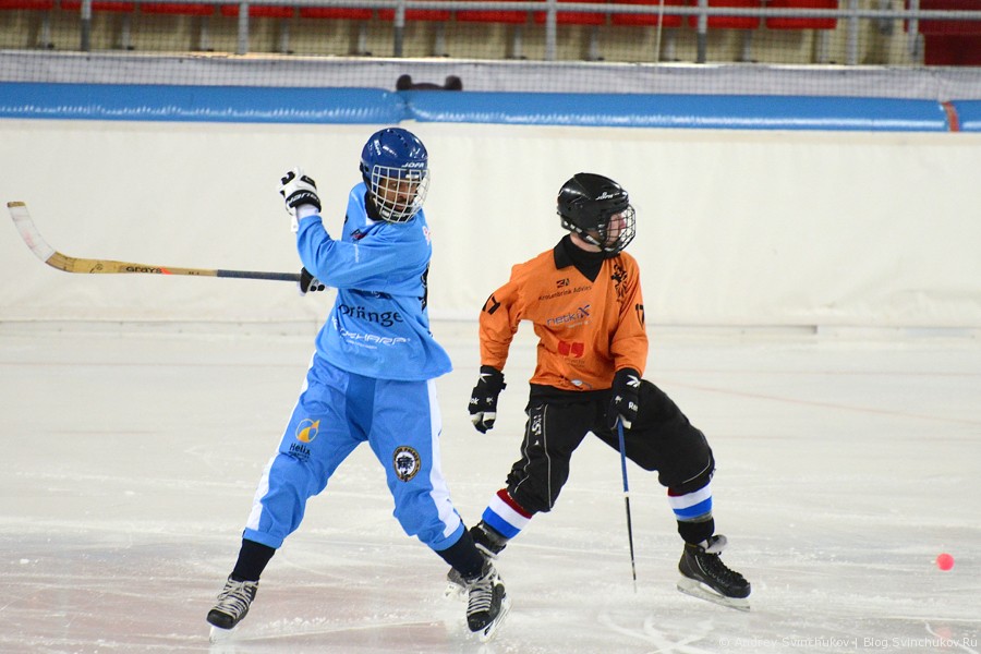 ЧМ-2015 по хоккею с мячом. Матч Сомали - Нидерланды