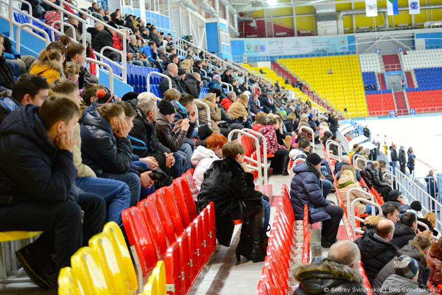 ЧМ-2015 по хоккею с мячом. Матч Эстония - Венгрия