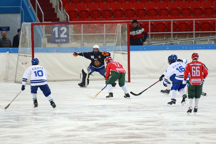 ЧМ-2015 по хоккею с мячом. Матч Эстония - Венгрия