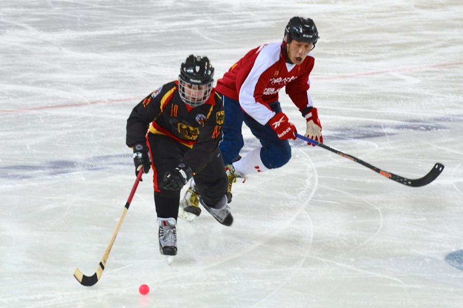 ЧМ-2015 по хоккею с мячом. Матч Германия - Китай
