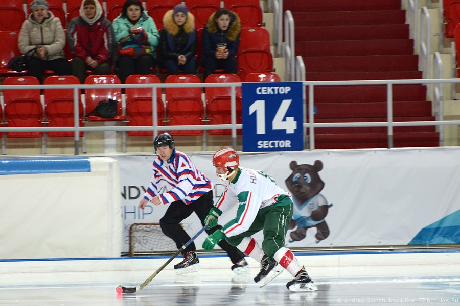 ЧМ-2015 по хоккею с мячом. Матч за третье место: Нидерланды - Венгрия