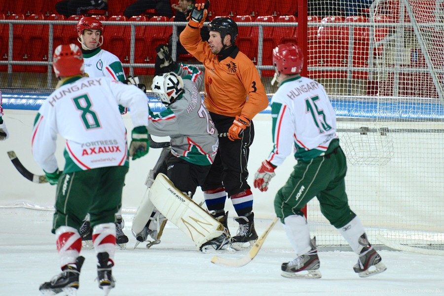 ЧМ-2015 по хоккею с мячом. Матч за третье место: Нидерланды - Венгрия
