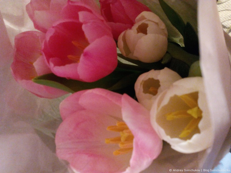 Цветы в женский праздник. Фото со смартфона от МегаФона.