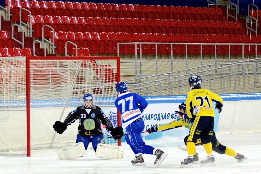Чемпионат мира по хоккею с мячом — 2015. Матч за 3-е место: Финляндия - Казахстан