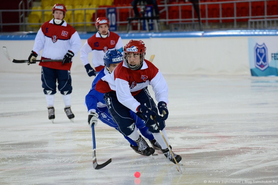 Чемпионат мира по хоккею с мячом — 2015. Матч Финляндия - Норвегия 