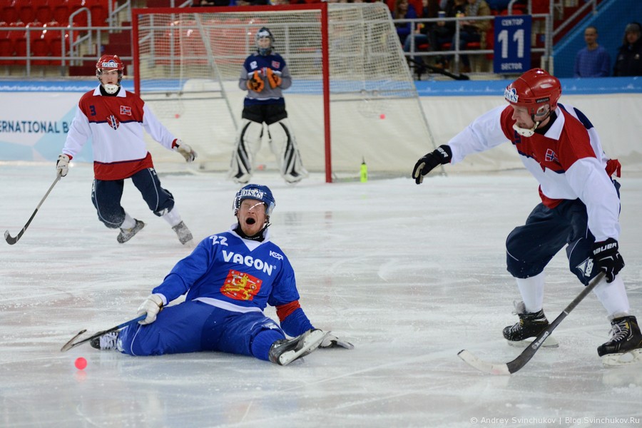 Чемпионат мира по хоккею с мячом — 2015. Матч Финляндия - Норвегия 