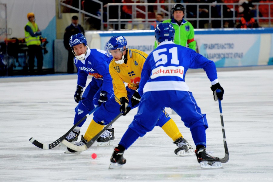 Чемпионат мира по хоккею с мячом — 2015. Матч Финляндия - Швеция