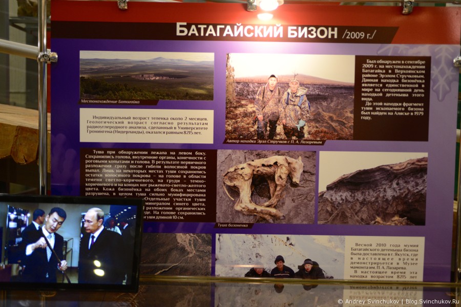 Музей мамонта в Якутске