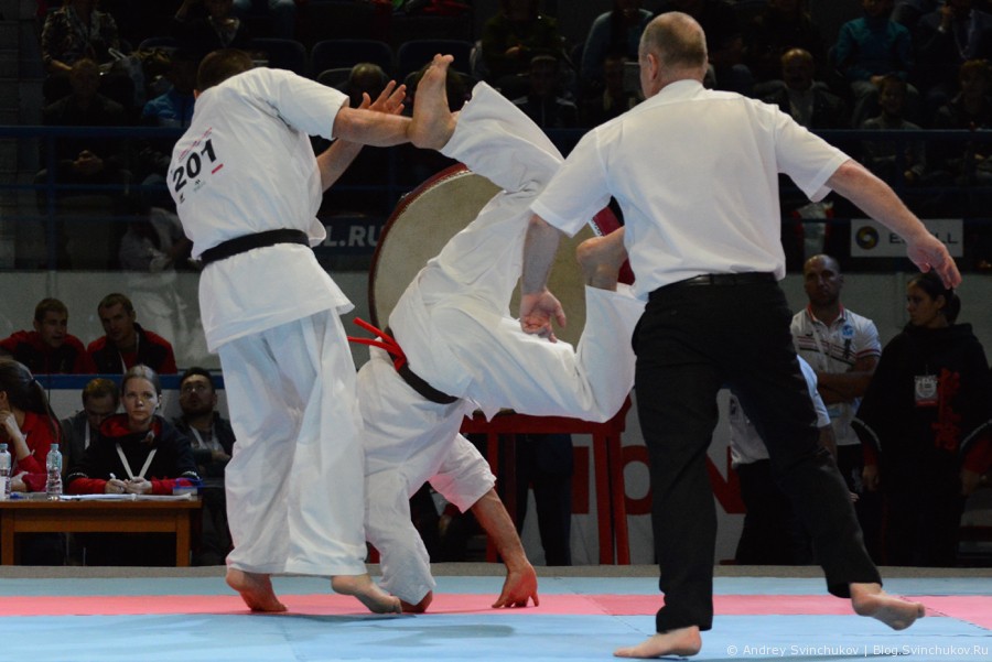 World Championship KWU Kyokushin. День первый — отборочные бои. Часть вторая