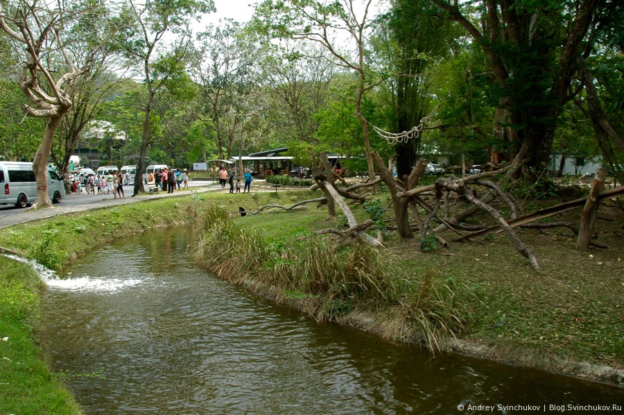 Зоопарк в Таиланде. Обезьянки