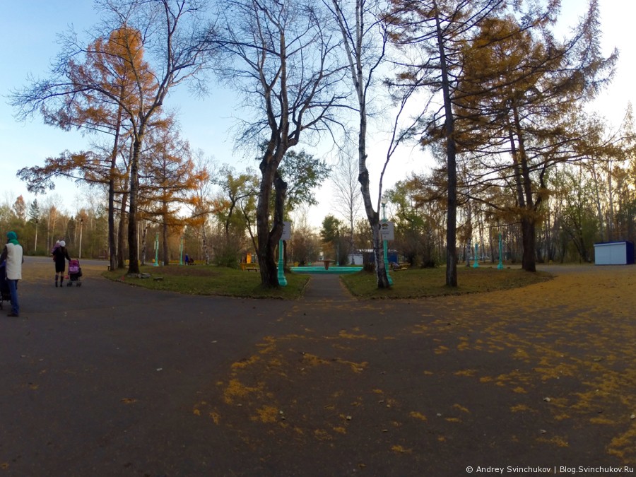 Парк им. Ю. А. Гагарина в городе Комсомольске-на-Амуре