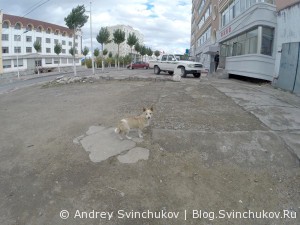 По одной из улиц Фуюаня