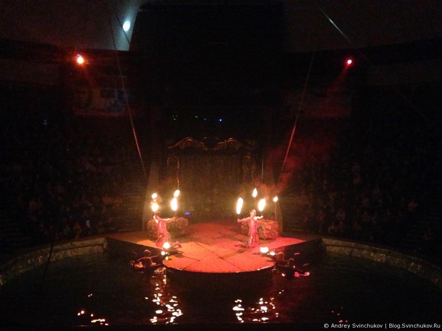 Цирк на воде в Хабаровске
