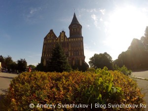 Калининград. На острове Канта