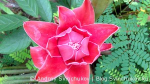 Красивая природа Таиланда