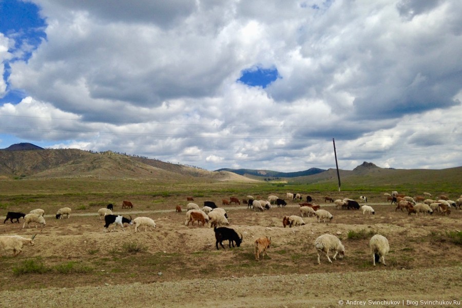 Первые километры по Монголии и Сухэ-Батор